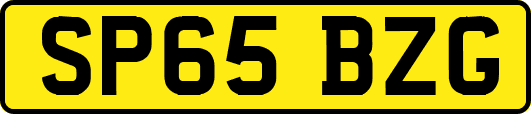 SP65BZG