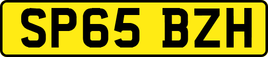 SP65BZH