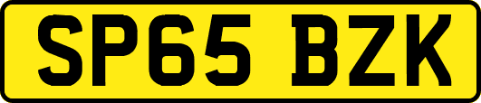 SP65BZK