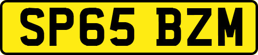 SP65BZM