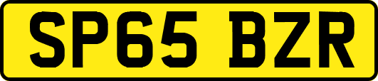 SP65BZR