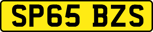 SP65BZS