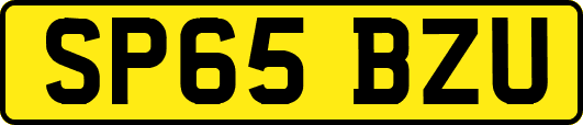 SP65BZU