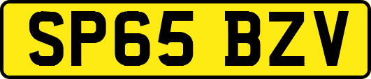 SP65BZV