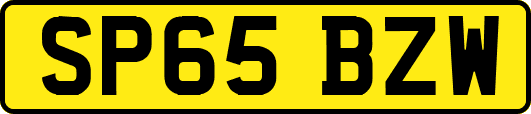 SP65BZW