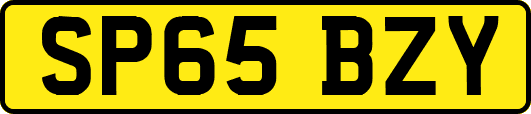 SP65BZY