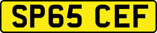 SP65CEF