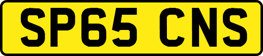 SP65CNS
