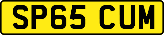 SP65CUM