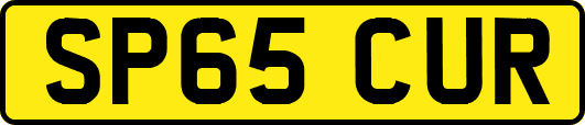 SP65CUR