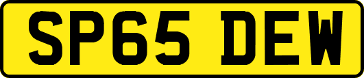 SP65DEW