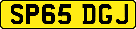 SP65DGJ
