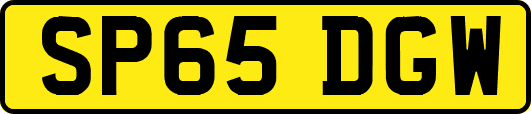 SP65DGW