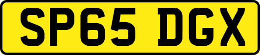 SP65DGX
