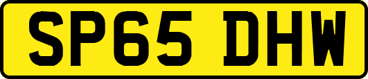 SP65DHW