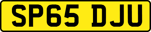 SP65DJU