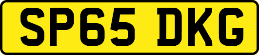 SP65DKG