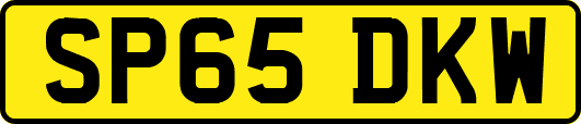 SP65DKW