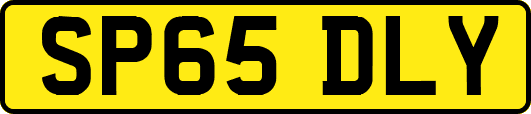 SP65DLY