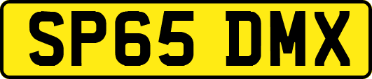SP65DMX