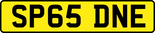 SP65DNE