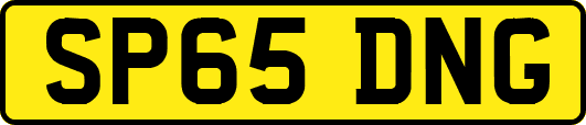 SP65DNG