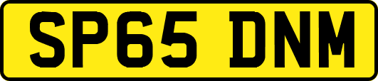 SP65DNM