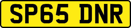 SP65DNR