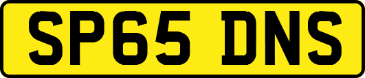 SP65DNS