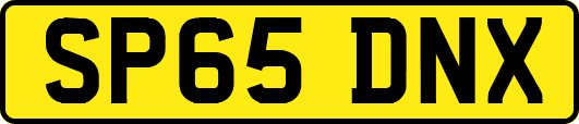 SP65DNX