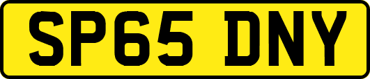SP65DNY