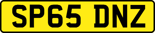 SP65DNZ