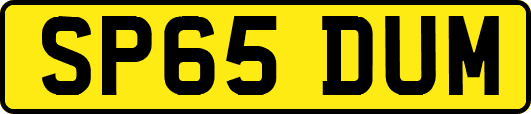 SP65DUM