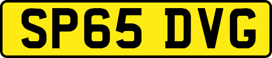 SP65DVG