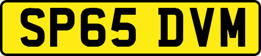 SP65DVM