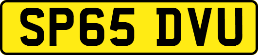 SP65DVU