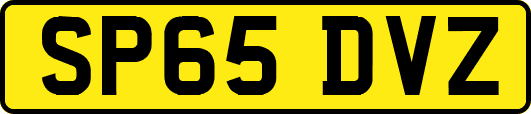 SP65DVZ