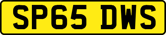 SP65DWS