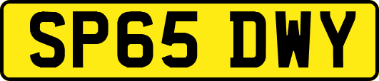 SP65DWY