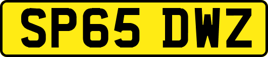 SP65DWZ