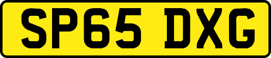 SP65DXG