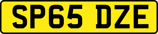 SP65DZE