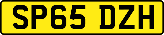 SP65DZH