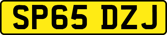 SP65DZJ