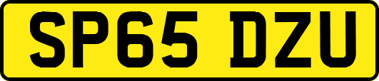 SP65DZU