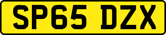 SP65DZX