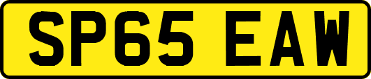 SP65EAW