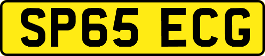 SP65ECG