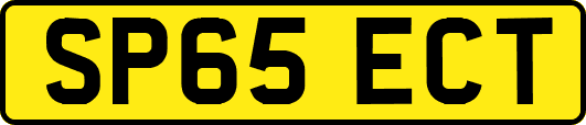 SP65ECT