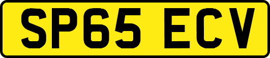 SP65ECV